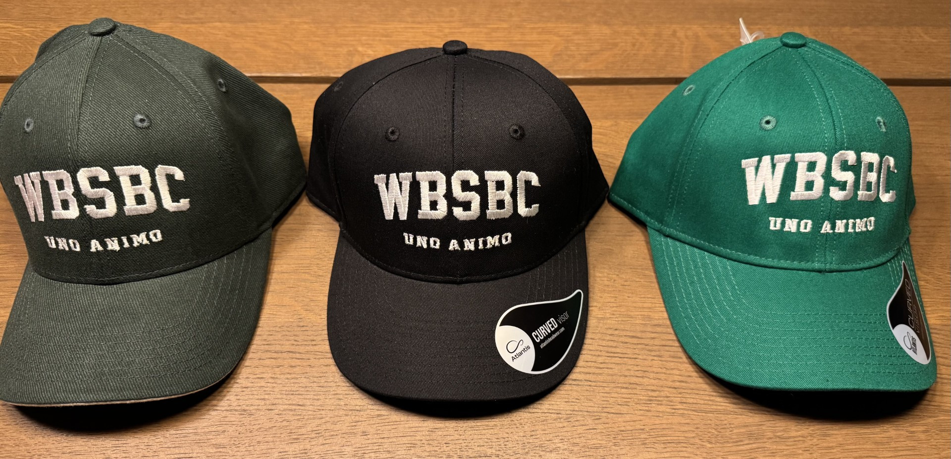 Cap ( Curved Snap Back )